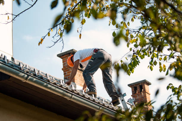 Best Green or Eco-Friendly Roofing Solutions  in Durand, MI