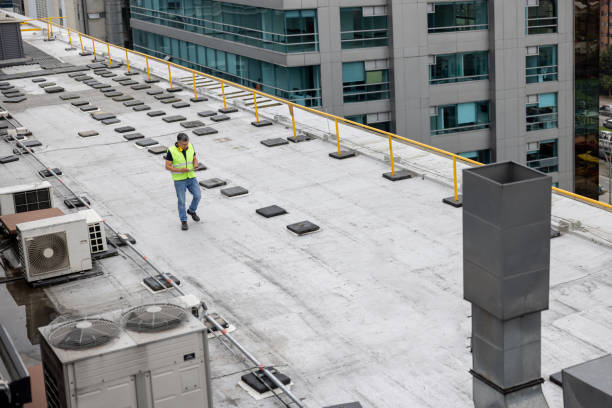 Best Roof Insulation Installation  in Durand, MI