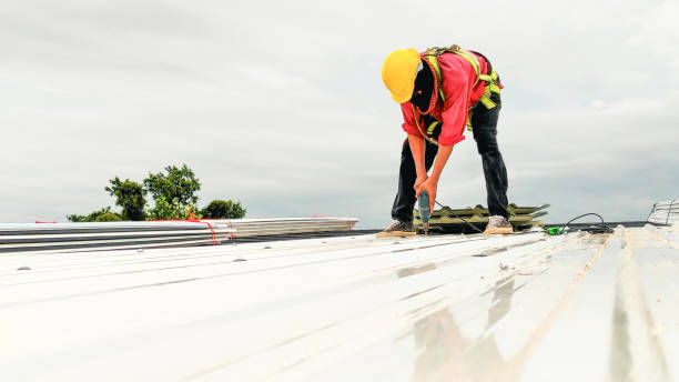 Best Flat Roofing  in Durand, MI