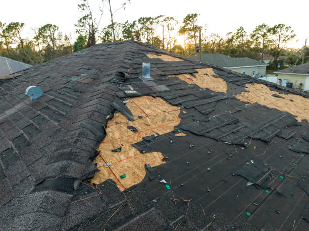 Best Tile Roofing Installation  in Durand, MI