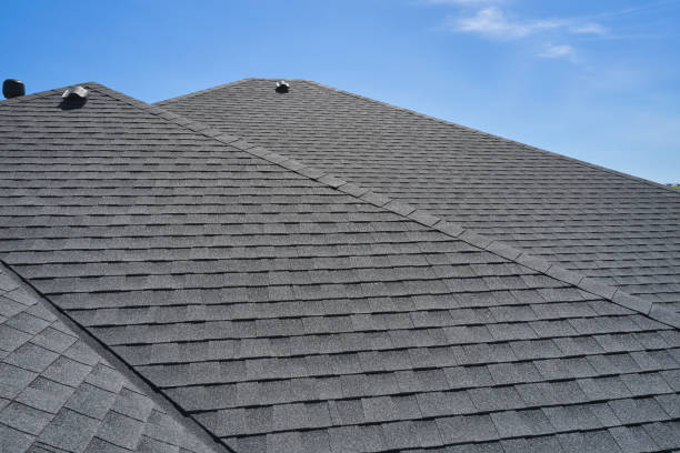 Best Skylight Installation and Repair  in Durand, MI